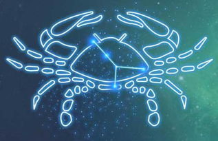 雷萍萍什么星座